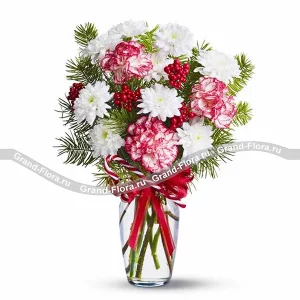 Зимняя нежность  Зимняя нежность